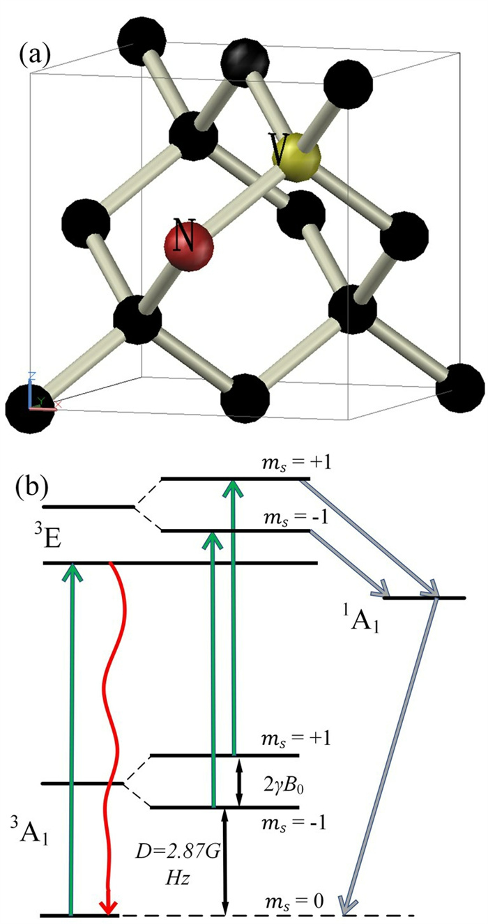NV色心的极化能级图
